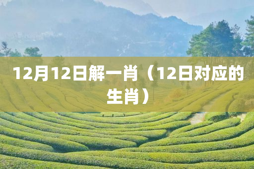 12月12日解一肖（12日对应的生肖）