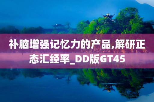 补脑增强记忆力的产品,解研正态汇经率_DD版GT45