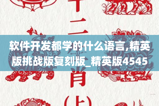 软件开发都学的什么语言,精英版挑战版复刻版_精英版4545