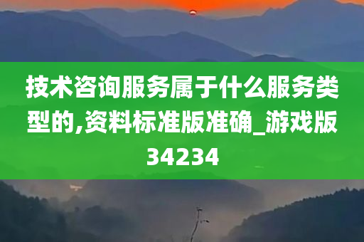 技术咨询服务属于什么服务类型的,资料标准版准确_游戏版34234