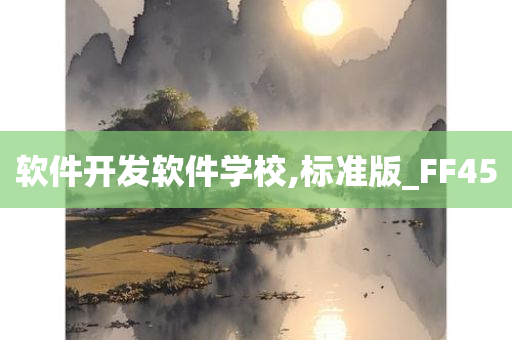 软件开发软件学校,标准版_FF45