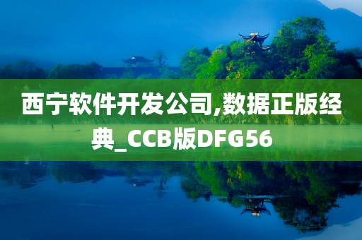 西宁软件开发公司,数据正版经典_CCB版DFG56