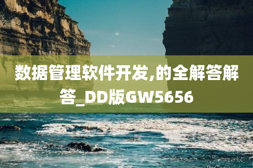 数据管理软件开发,的全解答解答_DD版GW5656