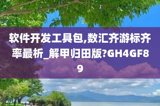 软件开发工具包,数汇齐游标齐率最析_解甲归田版?GH4GF89