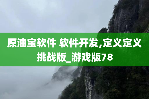 原油宝软件 软件开发,定义定义挑战版_游戏版78