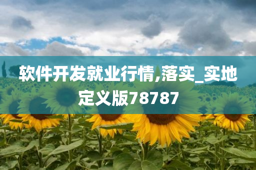 软件开发就业行情,落实_实地定义版78787