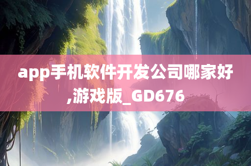 app手机软件开发公司哪家好,游戏版_GD676