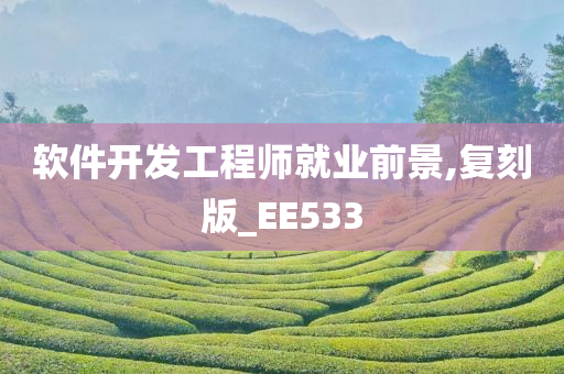 软件开发工程师就业前景,复刻版_EE533