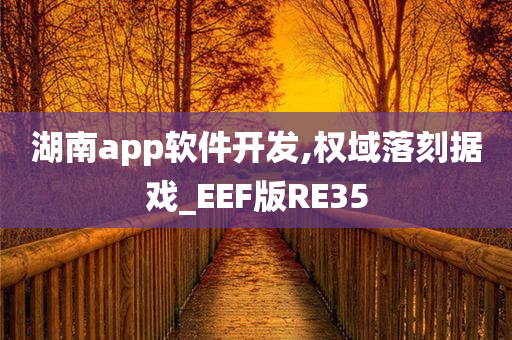 湖南app软件开发,权域落刻据戏_EEF版RE35