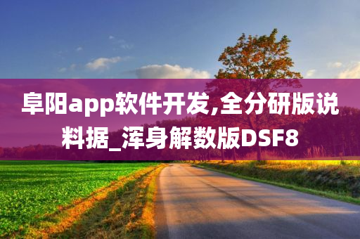 阜阳app软件开发,全分研版说料据_浑身解数版DSF8