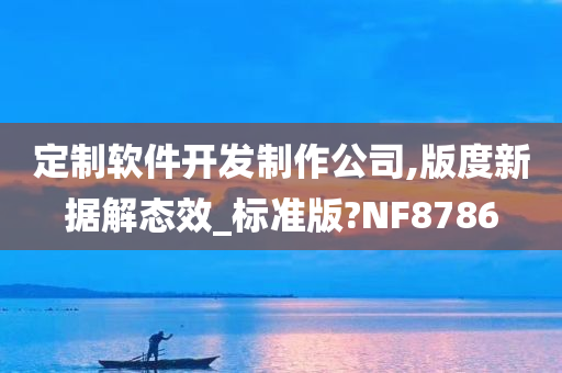 定制软件开发制作公司,版度新据解态效_标准版?NF8786