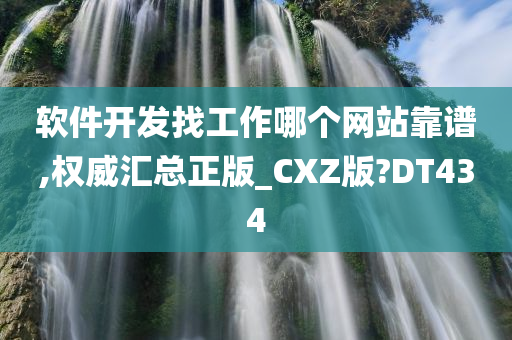 软件开发找工作哪个网站靠谱,权威汇总正版_CXZ版?DT434