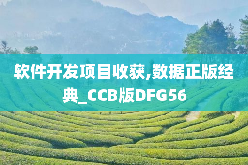 软件开发项目收获,数据正版经典_CCB版DFG56