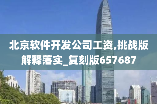 北京软件开发公司工资,挑战版解释落实_复刻版657687