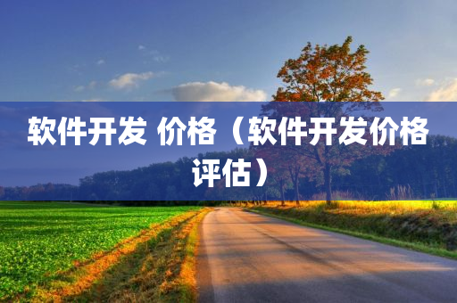 软件开发 价格（软件开发价格评估）