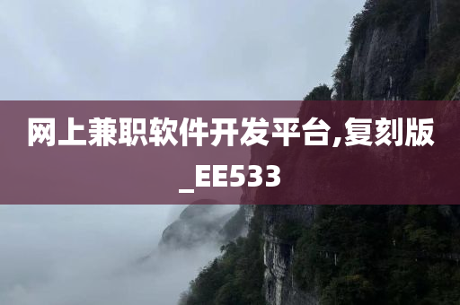 网上兼职软件开发平台,复刻版_EE533