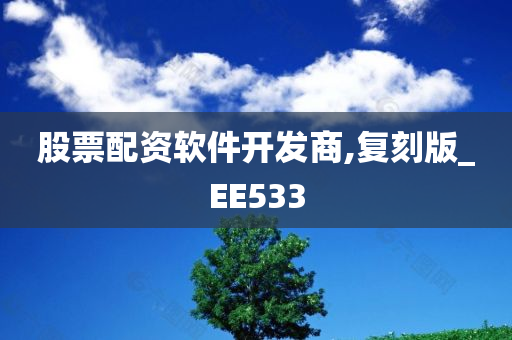 股票配资软件开发商,复刻版_EE533