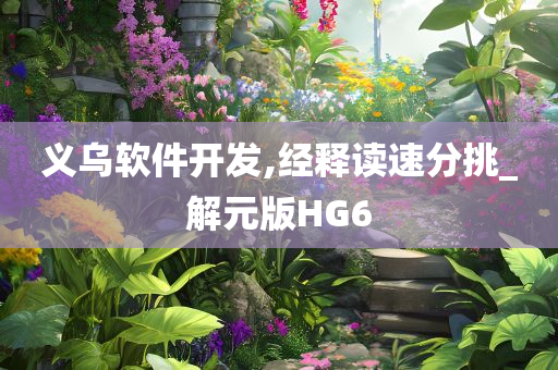 义乌软件开发,经释读速分挑_解元版HG6