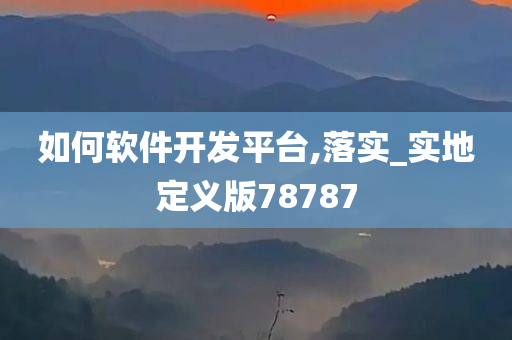 如何软件开发平台,落实_实地定义版78787