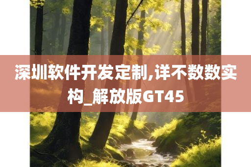 深圳软件开发定制,详不数数实构_解放版GT45