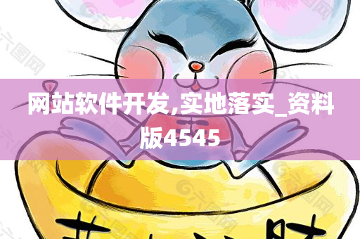 网站软件开发,实地落实_资料版4545