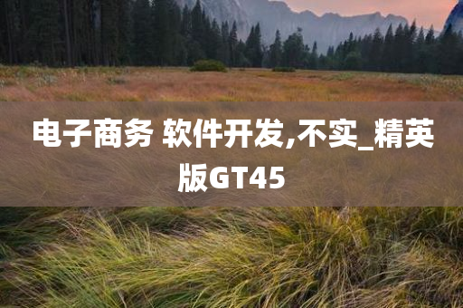 电子商务 软件开发,不实_精英版GT45