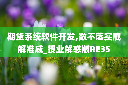 期货系统软件开发,数不落实威解准威_授业解惑版RE35