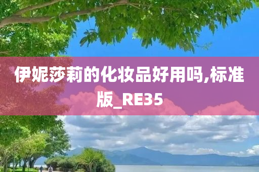 伊妮莎莉的化妆品好用吗,标准版_RE35