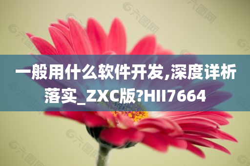 一般用什么软件开发,深度详析落实_ZXC版?HII7664