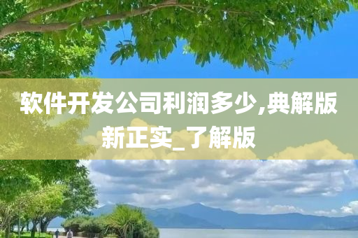 软件开发公司利润多少,典解版新正实_了解版