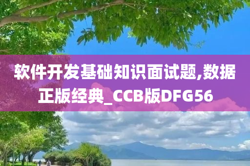 软件开发基础知识面试题,数据正版经典_CCB版DFG56