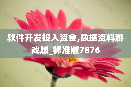 软件开发投入资金,数据资料游戏版_标准版7876