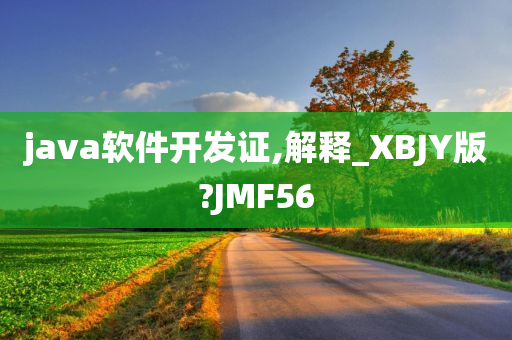 java软件开发证,解释_XBJY版?JMF56