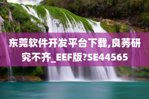 东莞软件开发平台下载,良莠研究不齐_EEF版?SE44565