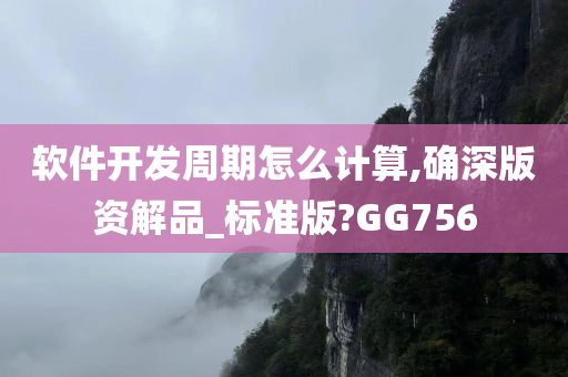 软件开发周期怎么计算,确深版资解品_标准版?GG756