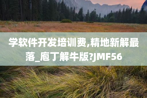 学软件开发培训费,精地新解最落_庖丁解牛版?JMF56