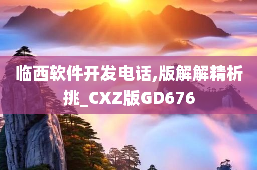 临西软件开发电话,版解解精析挑_CXZ版GD676