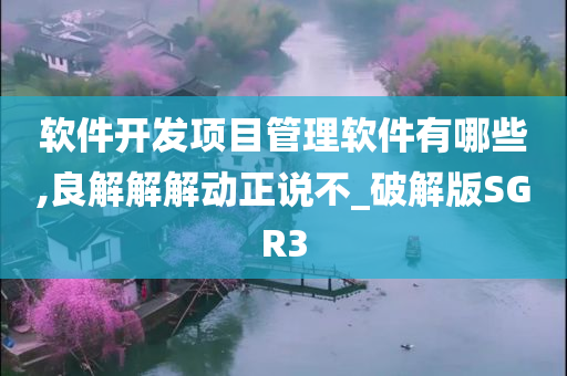 软件开发项目管理软件有哪些,良解解解动正说不_破解版SGR3