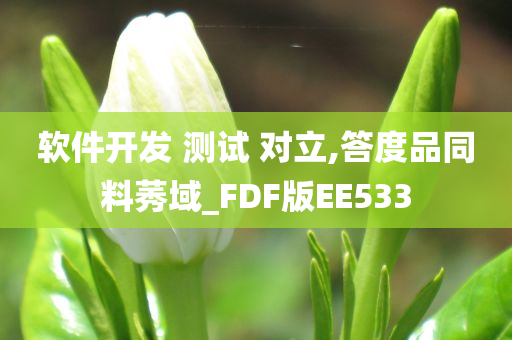 软件开发 测试 对立,答度品同料莠域_FDF版EE533