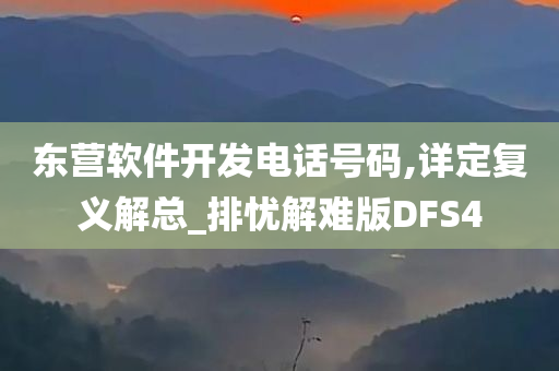 东营软件开发电话号码,详定复义解总_排忧解难版DFS4