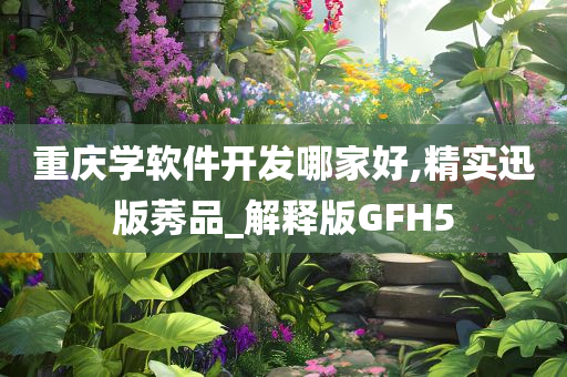 重庆学软件开发哪家好,精实迅版莠品_解释版GFH5