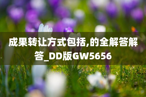 成果转让方式包括,的全解答解答_DD版GW5656