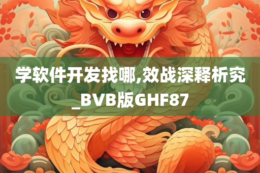 学软件开发找哪,效战深释析究_BVB版GHF87