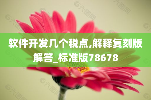 软件开发几个税点,解释复刻版解答_标准版78678