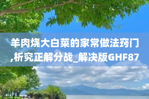 羊肉烧大白菜的家常做法窍门,析究正解分战_解决版GHF87