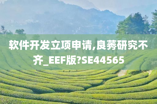 软件开发立项申请,良莠研究不齐_EEF版?SE44565