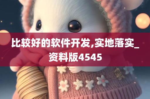 比较好的软件开发,实地落实_资料版4545