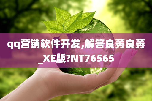 qq营销软件开发,解答良莠良莠_XE版?NT76565