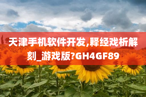 天津手机软件开发,释经戏析解刻_游戏版?GH4GF89