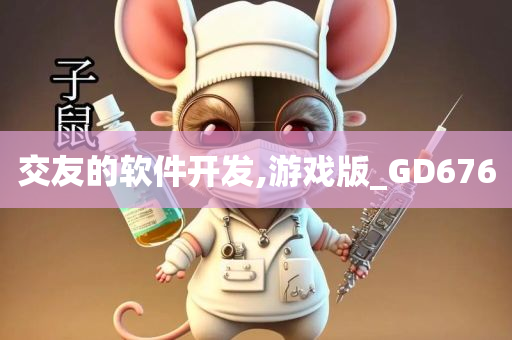 交友的软件开发,游戏版_GD676